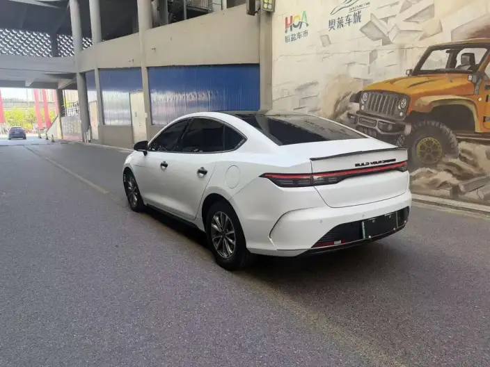 BYD Destroyer 05 2024 Model Honor Edition DM-i 55KM Luxury Model – фото 4