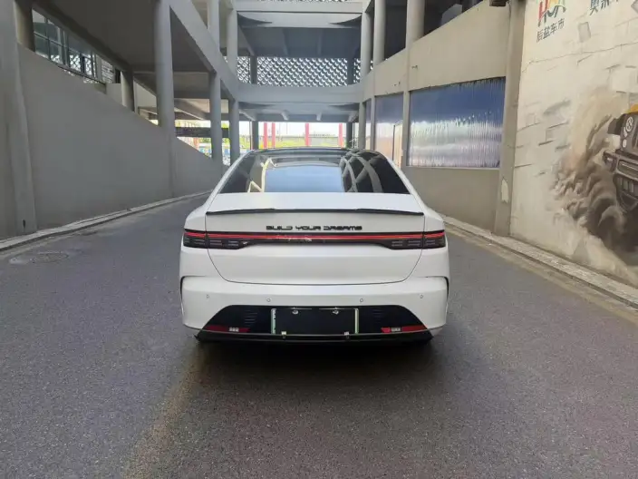 BYD Destroyer 05 2024 Model Honor Edition DM-i 55KM Luxury Model – фото 5