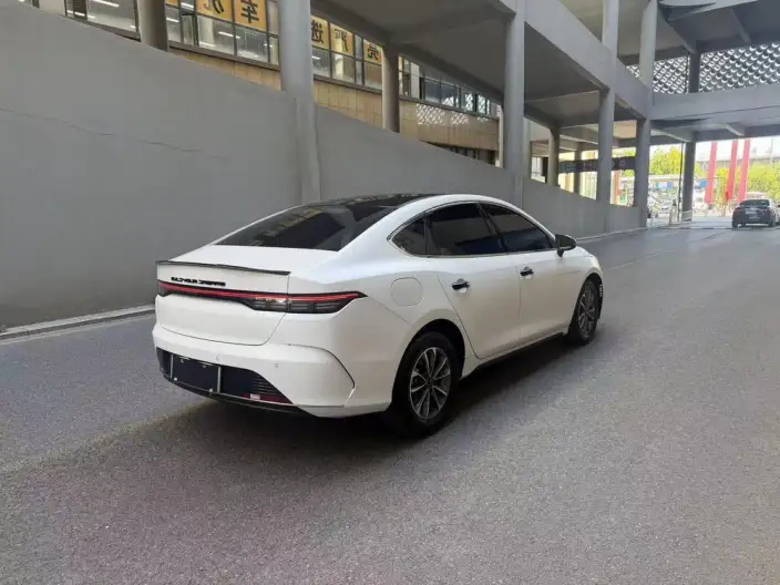 BYD Destroyer 05 2024 Model Honor Edition DM-i 55KM Luxury Model – фото 6