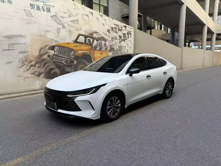 BYD Destroyer 05 2024 Model Honor Edition DM-i 55KM Luxury Model – фото 10
