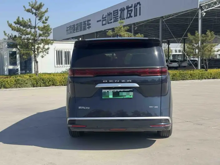 DENZA D9 DM 2022 Model 970 4WD Flagship Model – фото 5