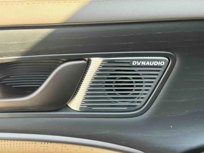 DENZA D9 DM 2022 Model 970 4WD Flagship Model – фото 10