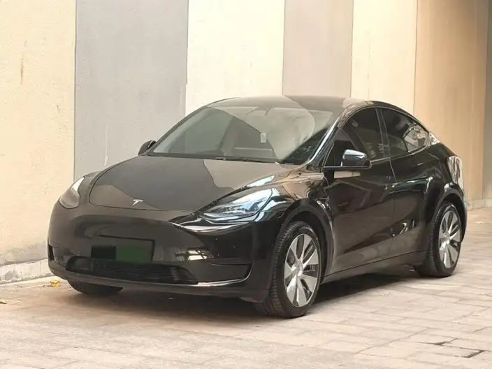 Model Y 2023 Model Rear-wheel drive version – фото 1
