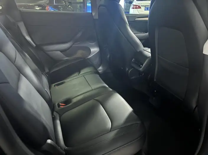 Model Y 2023 Model Rear-wheel drive version – фото 10