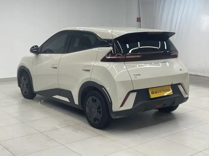 BYD Seagull 2023 Model Vitality Edition – фото 5