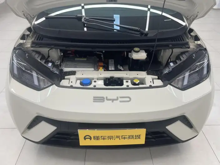 BYD Seagull 2023 Model Vitality Edition – фото 10