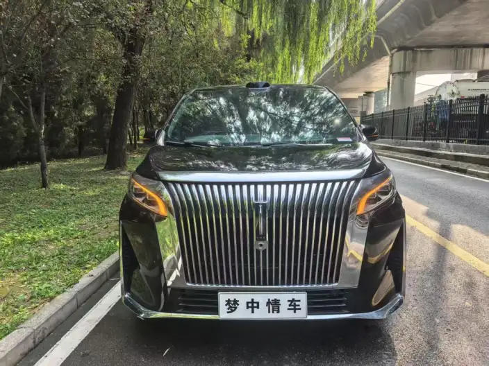 Wey Gaoshan P HEV 2025 Model 4WD Wey Gaoshan 8 – фото 2