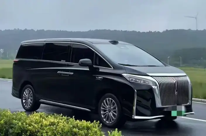 Wey Gaoshan P HEV 2025 Model 4WD Wey Gaoshan 8 – фото 3