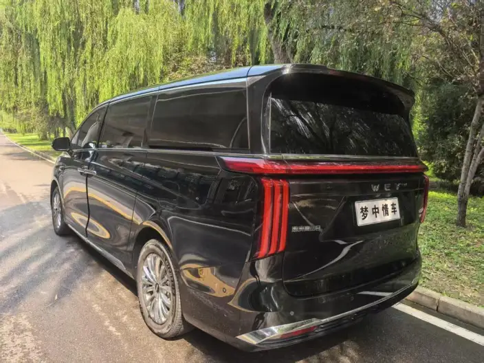 Wey Gaoshan P HEV 2025 Model 4WD Wey Gaoshan 8 – фото 5