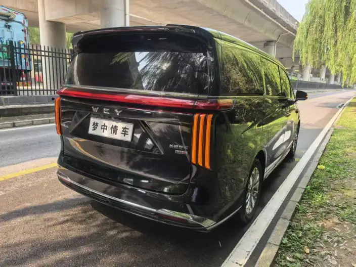 Wey Gaoshan P HEV 2025 Model 4WD Wey Gaoshan 8 – фото 6