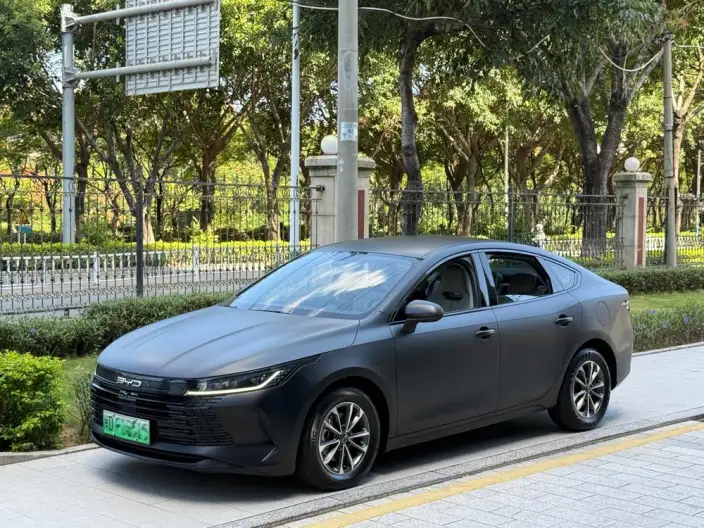 BYD Destroyer 05 2024 Model Honor Edition DM-i 55KM Luxury Model – фото 10