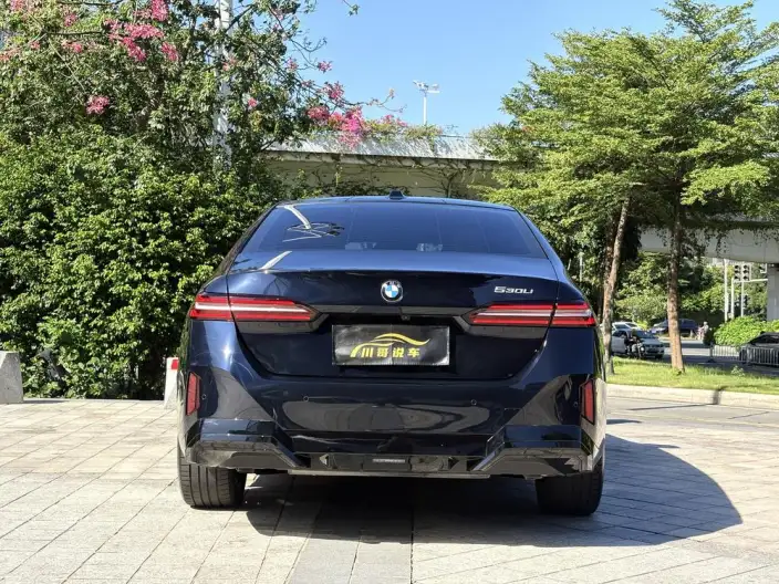 BMW 5 Series 2025 Model 530Li Leading Model M Sports Set – фото 4