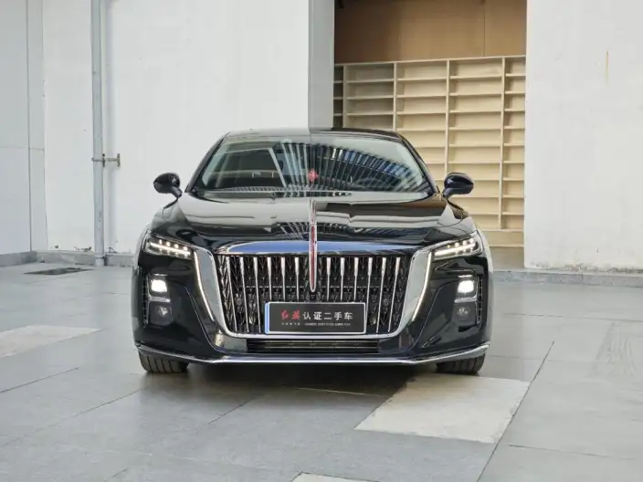 Hongqi H5 2025 Model 2.0T Automatic Flag Enjoy Edition – фото 2