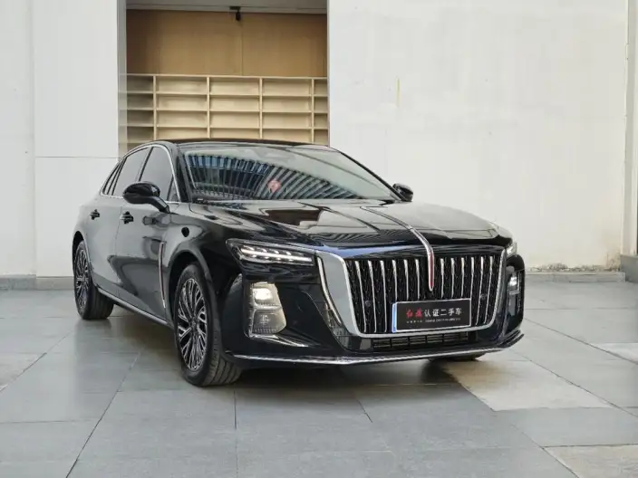 Hongqi H5 2025 Model 2.0T Automatic Flag Enjoy Edition – фото 3