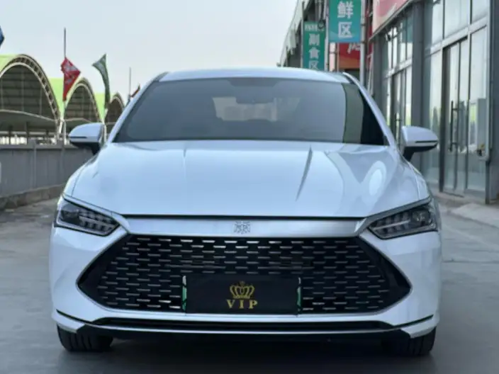 BYD Qin PLUS DM 2024 Model Honor Edition DM-i 55KM Leading Model – фото 2