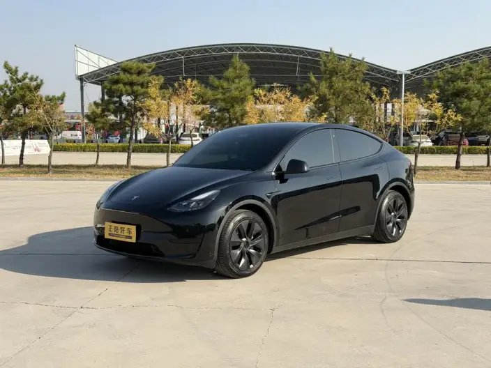 Model Y 2023 Model Rear-wheel drive version – фото 1