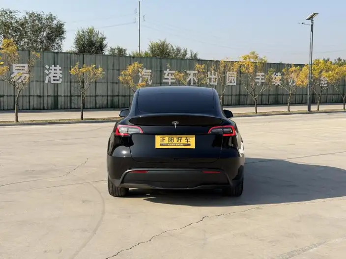 Model Y 2023 Model Rear-wheel drive version – фото 5