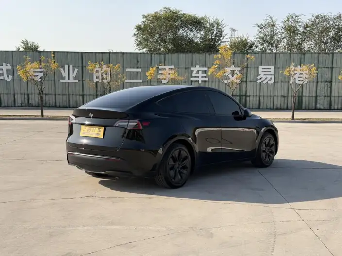 Model Y 2023 Model Rear-wheel drive version – фото 6