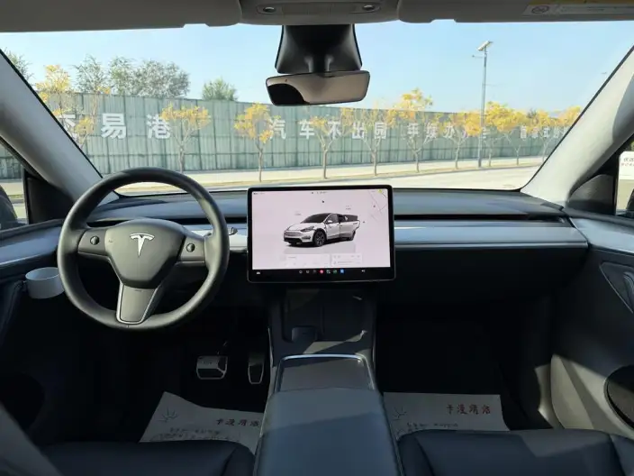 Model Y 2023 Model Rear-wheel drive version – фото 10