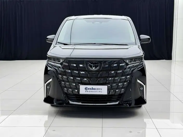 Elfa 2023 Model 2.5L Intelligent Hybrid 4WD Premium – фото 2