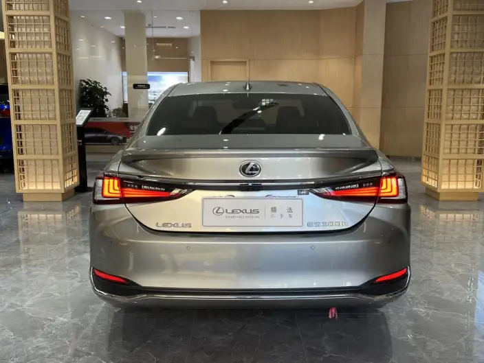Lexus ES 2020 Model 300h Superior Edition China V – фото 5