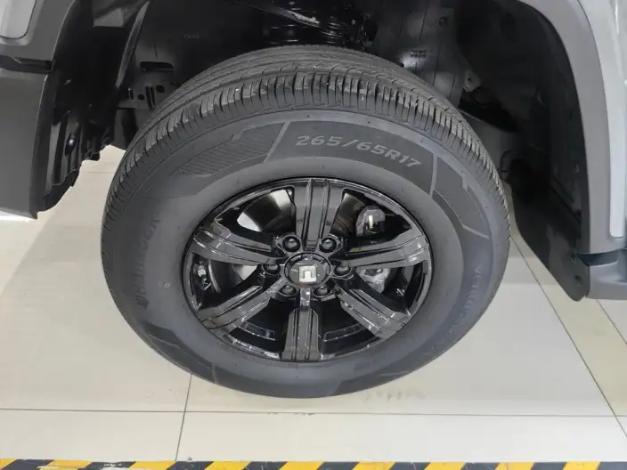 Tank 300 2024 Model 2.0T Challenger – фото 4