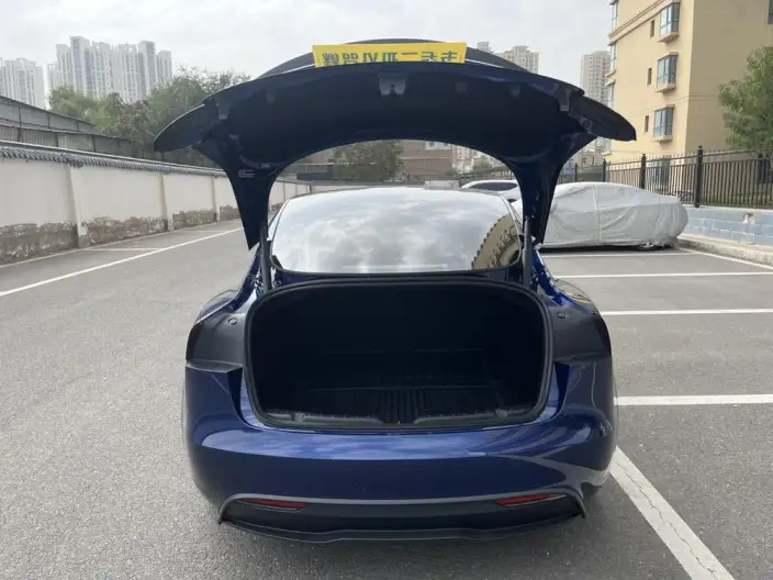 Model 3 2025 Model Long Battery Life Pro All-wheel drive version – фото 8