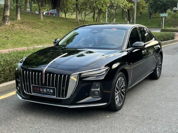 Hongqi H5 2025 Model 2.0T Automatic Flag Enjoy Edition – фото 1