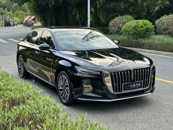 Hongqi H5 2025 Model 2.0T Automatic Flag Enjoy Edition – фото 3