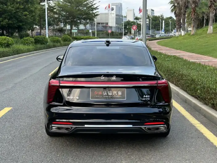 Hongqi H5 2025 Model 2.0T Automatic Flag Enjoy Edition – фото 5