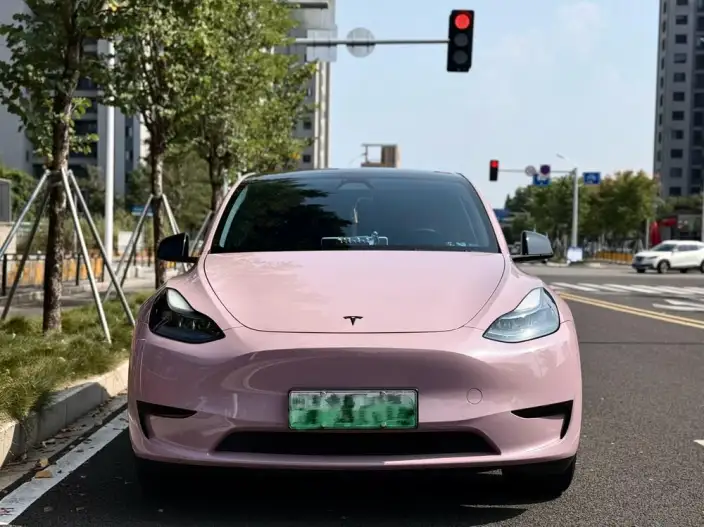 Model Y 2024 Model Rear-wheel drive version – фото 2