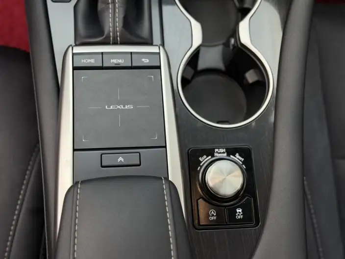 Lexus RX 2020 Model Facelift 300 2WD Elite Edition – фото 9