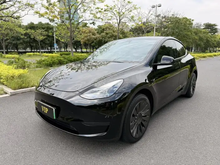 Model Y 2024 Model Rear-wheel drive version – фото 1