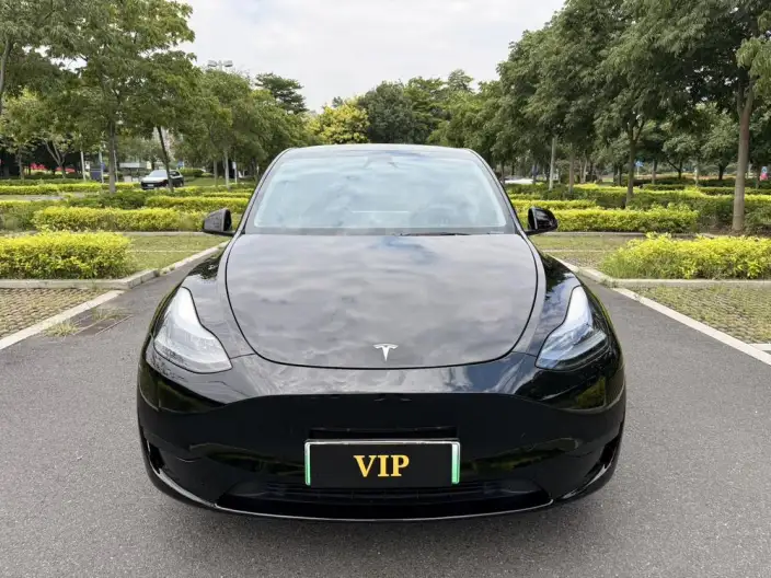 Model Y 2024 Model Rear-wheel drive version – фото 2