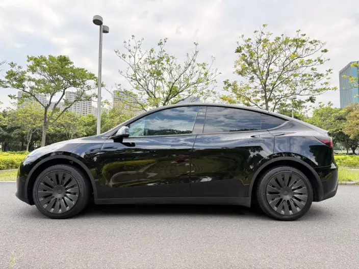 Model Y 2024 Model Rear-wheel drive version – фото 3