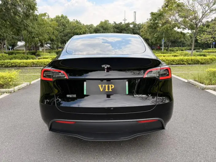 Model Y 2024 Model Rear-wheel drive version – фото 4