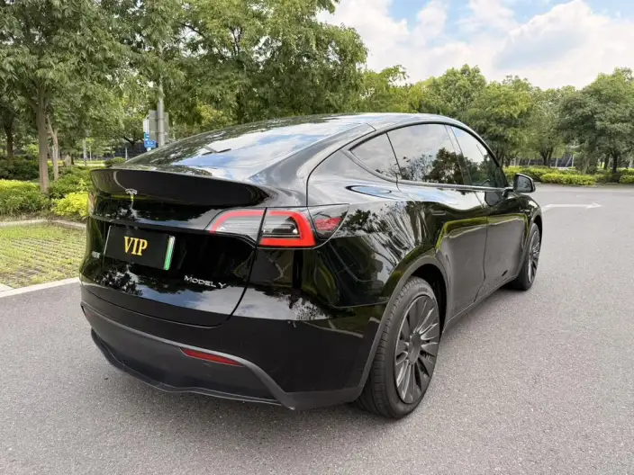 Model Y 2024 Model Rear-wheel drive version – фото 5