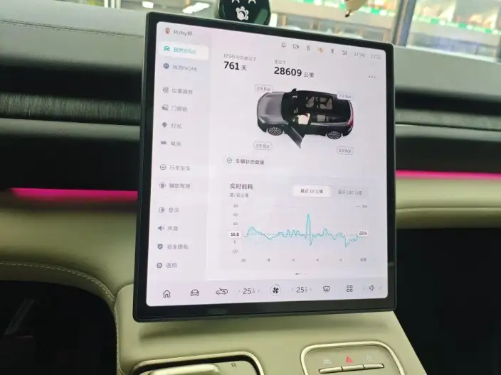NIO ES6 2024 Model 75kWh – фото 5