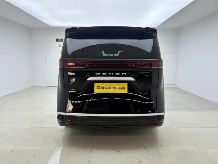 DENZA D9 DM 2022 Model 970 4WD Flagship Model – фото 6