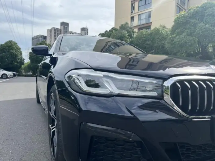 BMW 5 Series 2023 Model 530Li Exclusive Model M Sports Set – фото 10