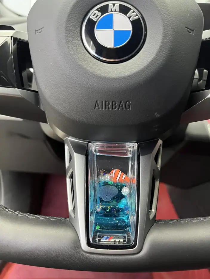 BMW 5 Series 2025 Model 530Li Leading Model M Sports Set – фото 9