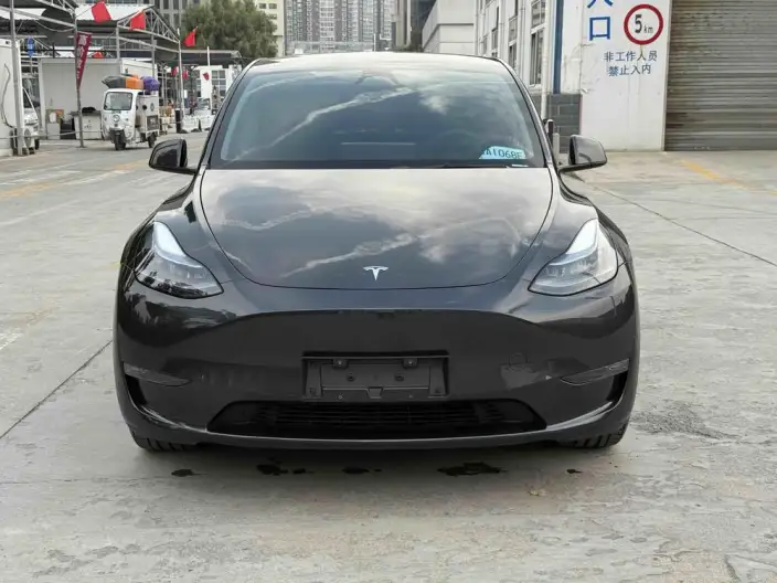 Model Y 2024 Model Long Battery Life Pro All-wheel drive version – фото 2