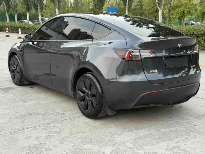 Model Y 2024 Model Long Battery Life Pro All-wheel drive version – фото 4