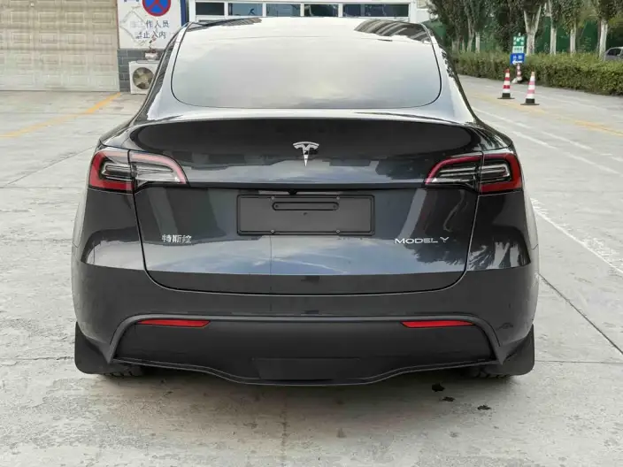 Model Y 2024 Model Long Battery Life Pro All-wheel drive version – фото 5