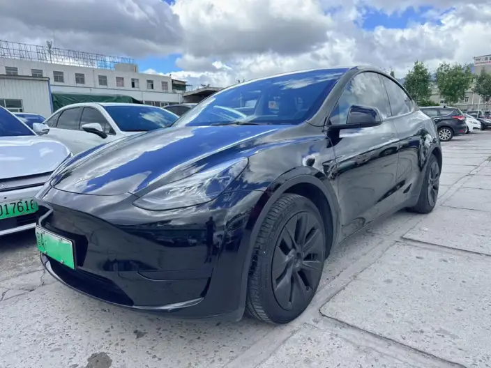 Model Y 2024 Model Rear-wheel drive version – фото 1