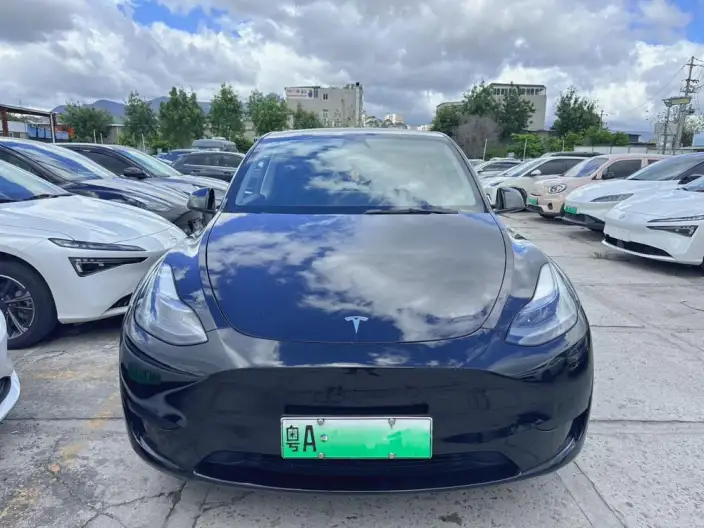 Model Y 2024 Model Rear-wheel drive version – фото 2