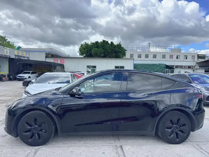 Model Y 2024 Model Rear-wheel drive version – фото 3