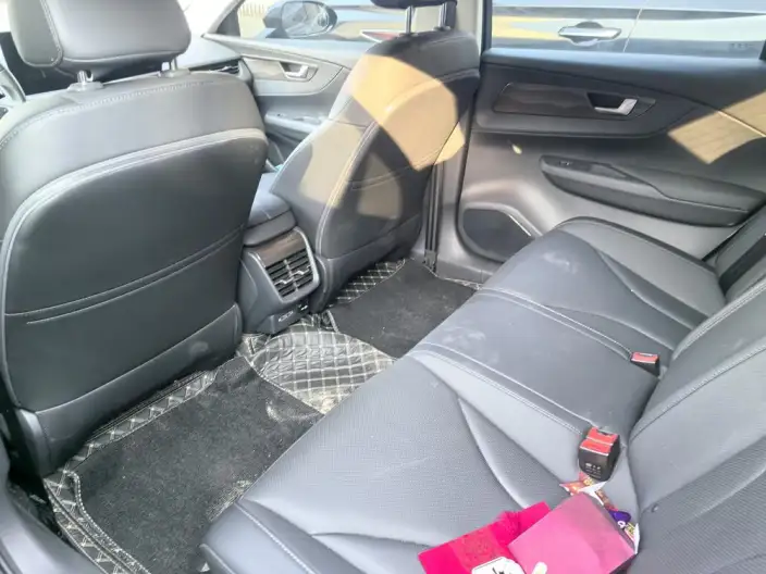 Hongqi E-QM5 2024 Model 450KM Travel Edition 100kW – фото 9