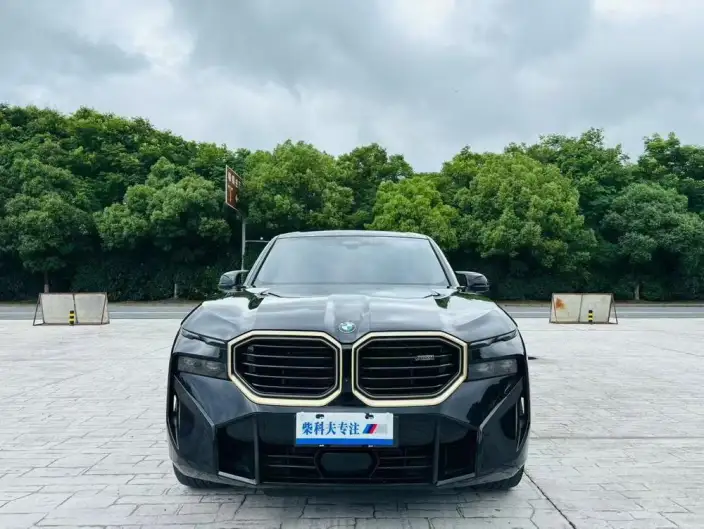 BMW XM 2023 Model 4.4T Standard Model – фото 2