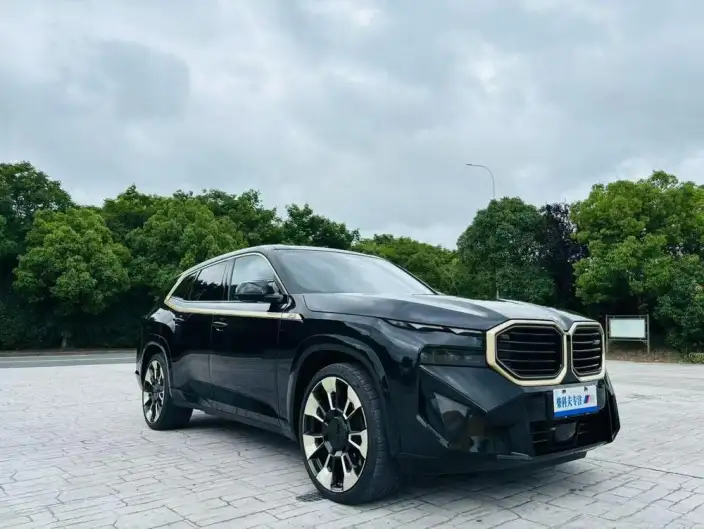 BMW XM 2023 Model 4.4T Standard Model – фото 3